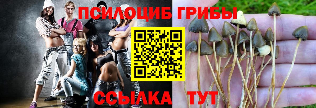 Псилоцибиновые грибы мухоморы Горячий Ключ